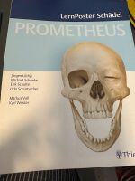 Prometheus Lernposter Anatomie Schädel Rheinland-Pfalz - Albisheim (Pfrimm) Vorschau