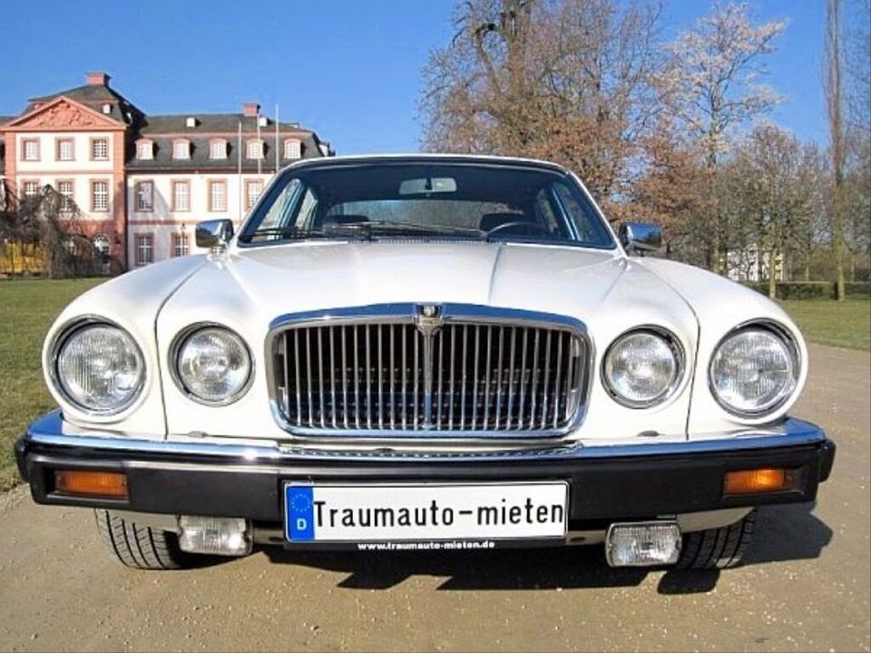 Oldtimer von Jaguar als Hochzeitsauto mit Chauffeur mieten in Wiesbaden