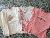 3 tolle Shirts Gr. 146/152 Versand möglich Hessen - Wiesbaden Vorschau