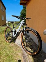 Cube Stereo 150 Carbon M 29 Zoll MTB Enduro Herren Damen Sachsen - Regis-Breitingen Vorschau