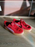 Sneaker Puma Damen Gr. 37 NEU Nordrhein-Westfalen - Sankt Augustin Vorschau