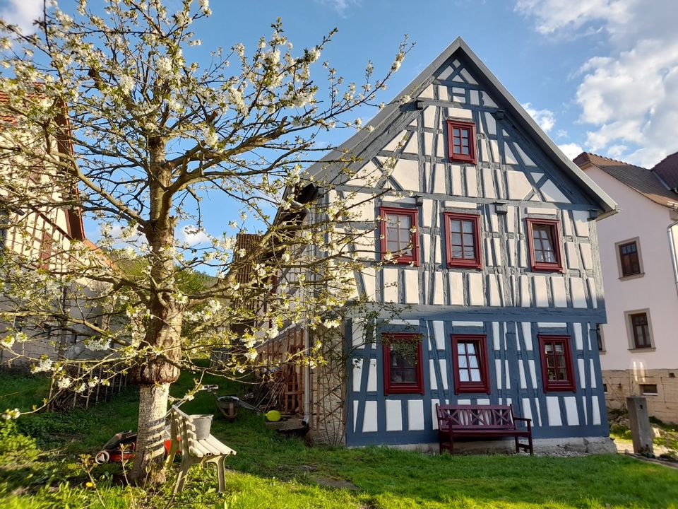 Ferienwohnung im Saaletal  Rudolstadt Thüringen in Uhlstädt-Kirchhasel