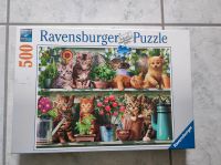 Ravensburger Puzzle 500 Teile Katzenkinder Baden-Württemberg - Inzigkofen Vorschau