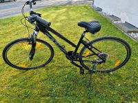 Felt QX70 Crossbike 28" Damen-Fahrrad Dortmund - Persebeck Vorschau