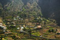 wundervolles Ferienhaus auf La Gomera im Valle Gran Rey Spanien Rheinland-Pfalz - Weilerbach Vorschau