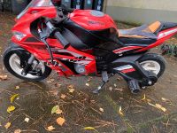 INJUSA Kinder Motorrad 24 Volt Hamburg - Harburg Vorschau