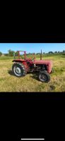 Massey Ferguson MF 35 Traktor 3 Zylinder Nordrhein-Westfalen - Weeze Vorschau