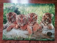 Puzzle, Tigerbabys Thüringen - Kahla Vorschau