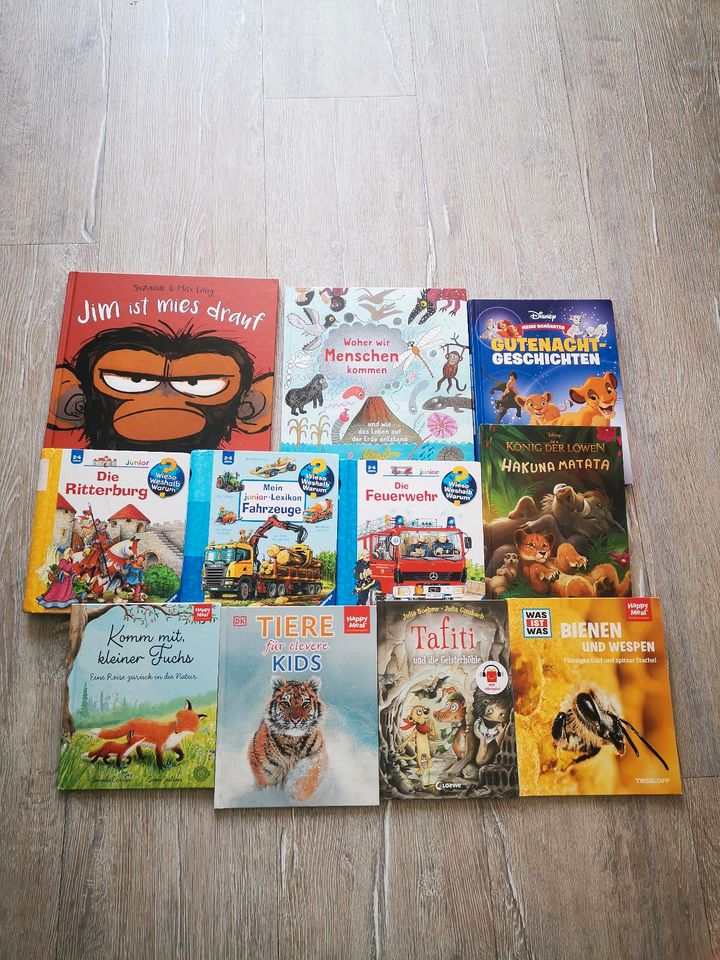 Kinderbücher in Karby (Schwansen)