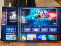 Samsung 75 Zoll NeoQLED QN95B Smart TV 4K Displayschaden Schleswig-Holstein - Wester-Ohrstedt Vorschau