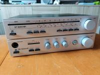 DDR Hifi Stereo Anlage S 3000 Sachsen - Rodewisch Vorschau