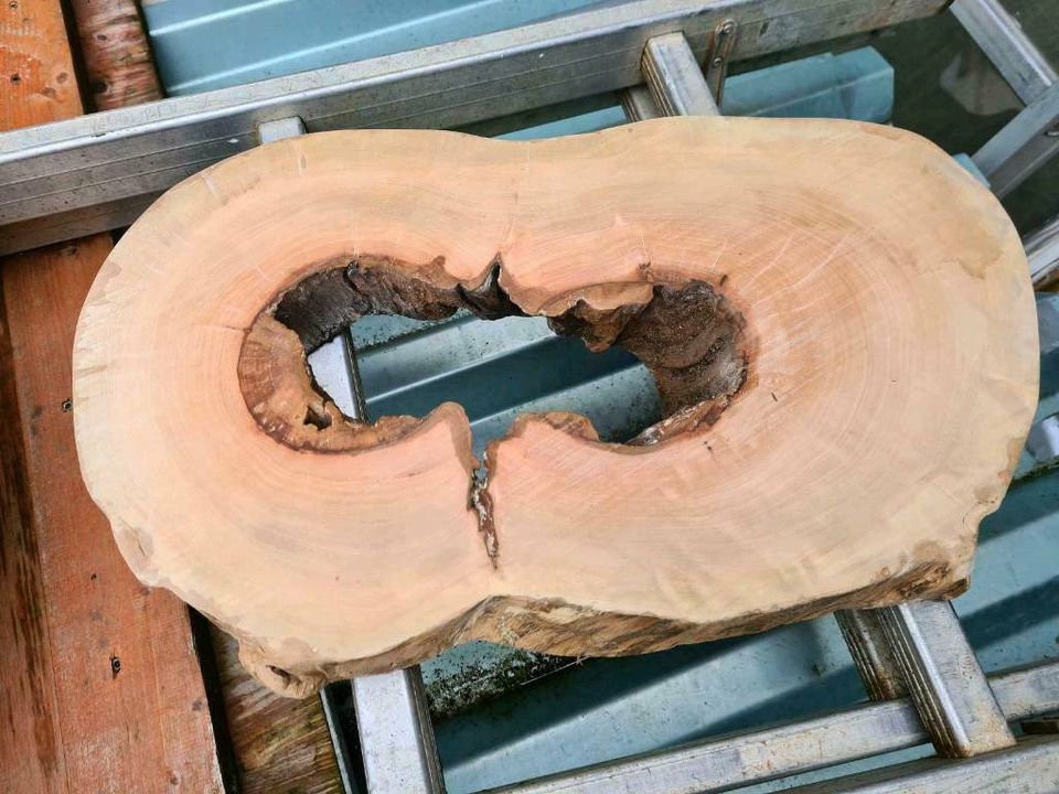 Holz Scheiben für Epoxidharz in Mietingen