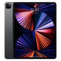 iPad 12,9.  4.Generation 256gb Niedersachsen - Faßberg Vorschau