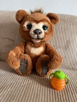 FurReal Cubby Teddybär Bayern - Niederaichbach Vorschau