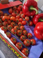 Frische Aroma CHERRY TOMATEN   3 kilo Kiste 13 € Nordrhein-Westfalen - Oberhausen Vorschau