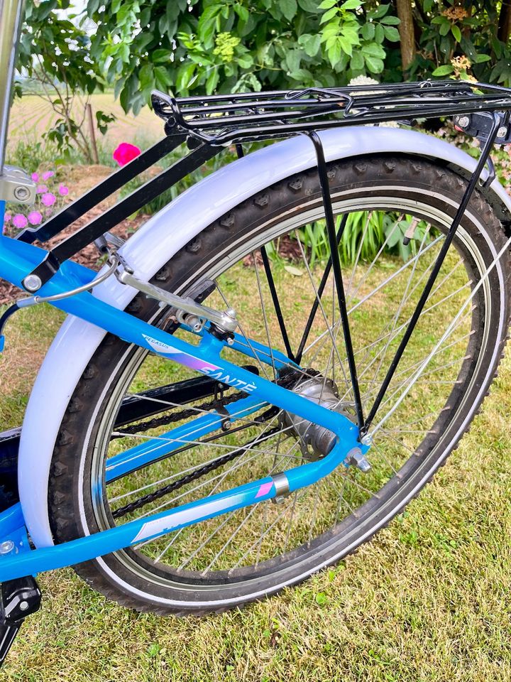 Hellblaues Pegasus Fahrrad 26 Zoll in Hameln