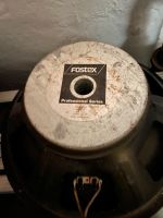 Fostex 15 W 200 15" Basslautsprecher Nordrhein-Westfalen - Netphen Vorschau