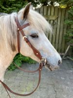 Ein liebes Pony zu verkaufen Niedersachsen - Blomberg Vorschau