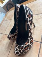 Buffalo heals Berlin - Treptow Vorschau