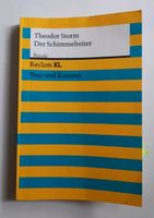 "Der Schimmelreiter" - Theodor Storm RECLAM Mecklenburg-Vorpommern - Greifswald Vorschau