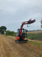 Busch Rückschritt Baumrückschnitt  Heckenschnitt Wurster Nordseeküste - Spieka Vorschau