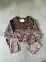 Gymshark Langarmshirt Ombre (M) Niedersachsen - Lengede Vorschau