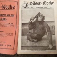 Zeitschriften aus dem Jahre 1924 Baden-Württemberg - Immendingen Vorschau