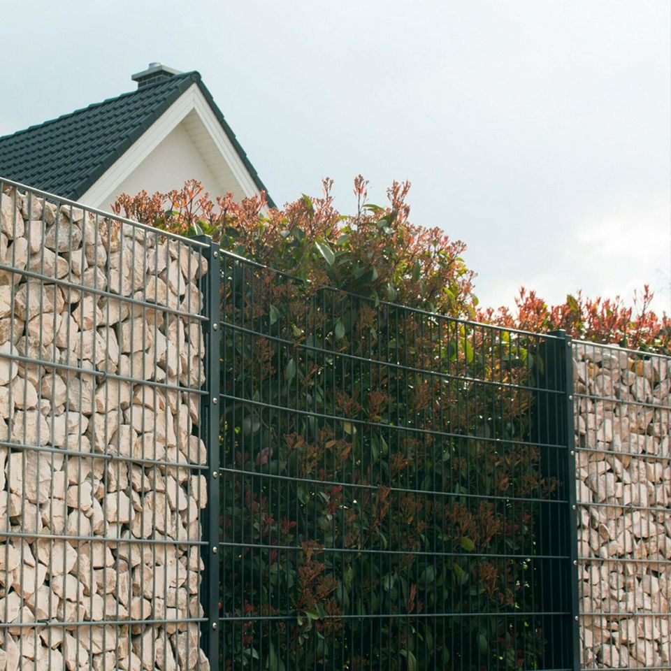 Gabione Zaun 1,63 Doppelstabmattenzaun Sichtschutz Gartenzaun in Castrop-Rauxel