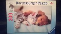 Ravensburger Puzzle "SÜßE TRÄUME"  300 Teile Berlin - Lichtenberg Vorschau