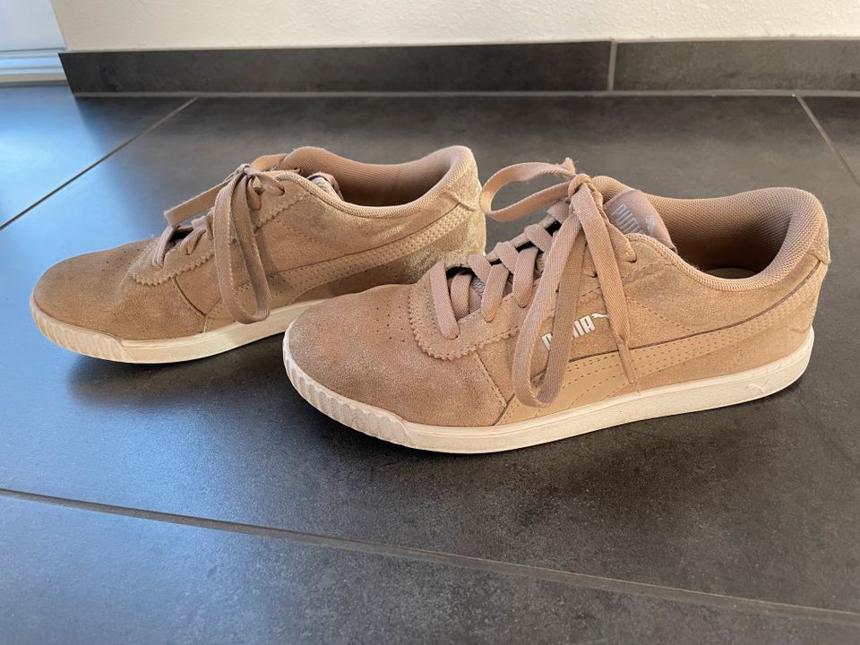 Puma Sneaker Halbschuhe beige Leder Gr. 37 in Frensdorf