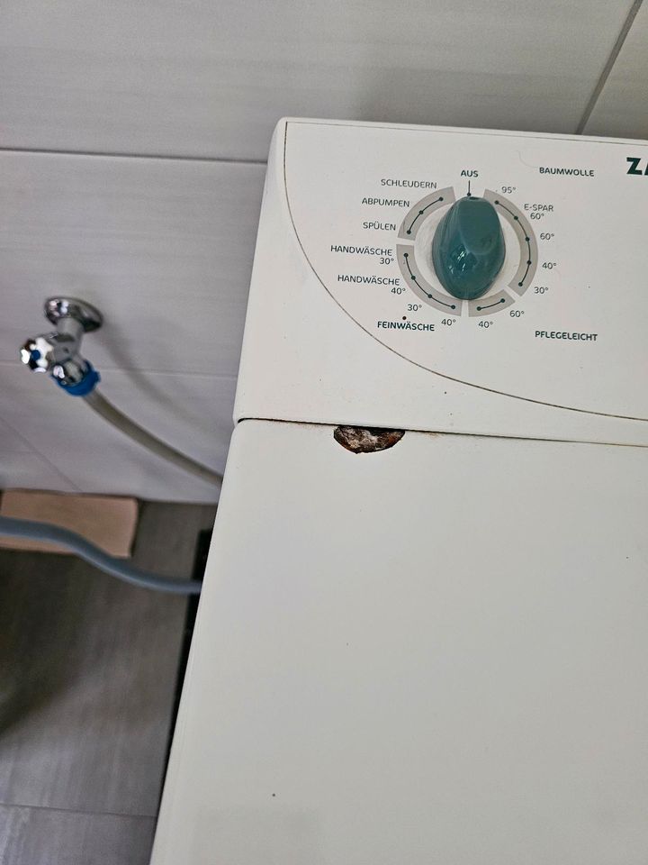Toplader Zanker Waschmaschine in Biederitz
