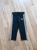 Dreiviertelhose Sachsen - Steina Vorschau