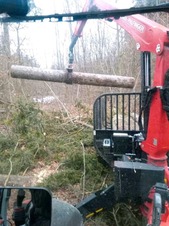 Holzrücken Käferholz Baum fällen Transport Forstarbeiten in Moorenweis