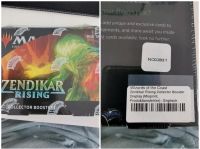 MTG - Zendikar Rising Collector Display OVP Englisch ! MISPRINT! Leipzig - Schönefeld-Abtnaundorf Vorschau