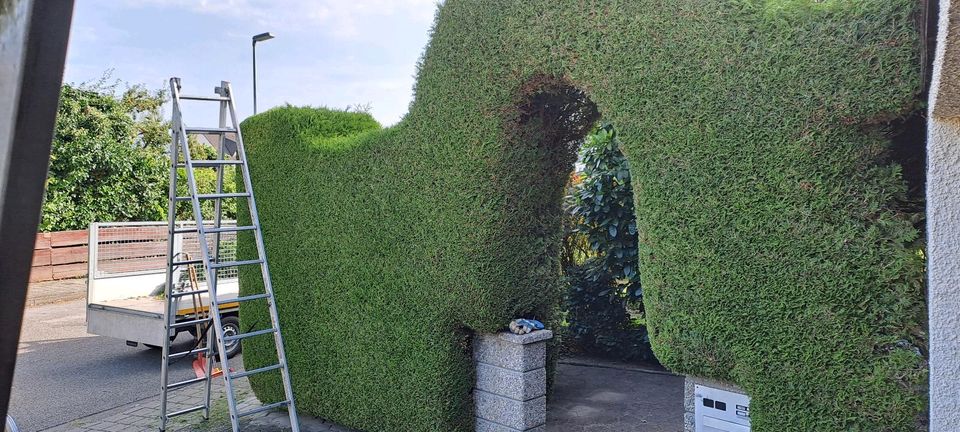 Gàrtner  Gartenpflege in Ingolstadt