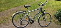 Trekking Fahrrad Rostock - Evershagen Vorschau