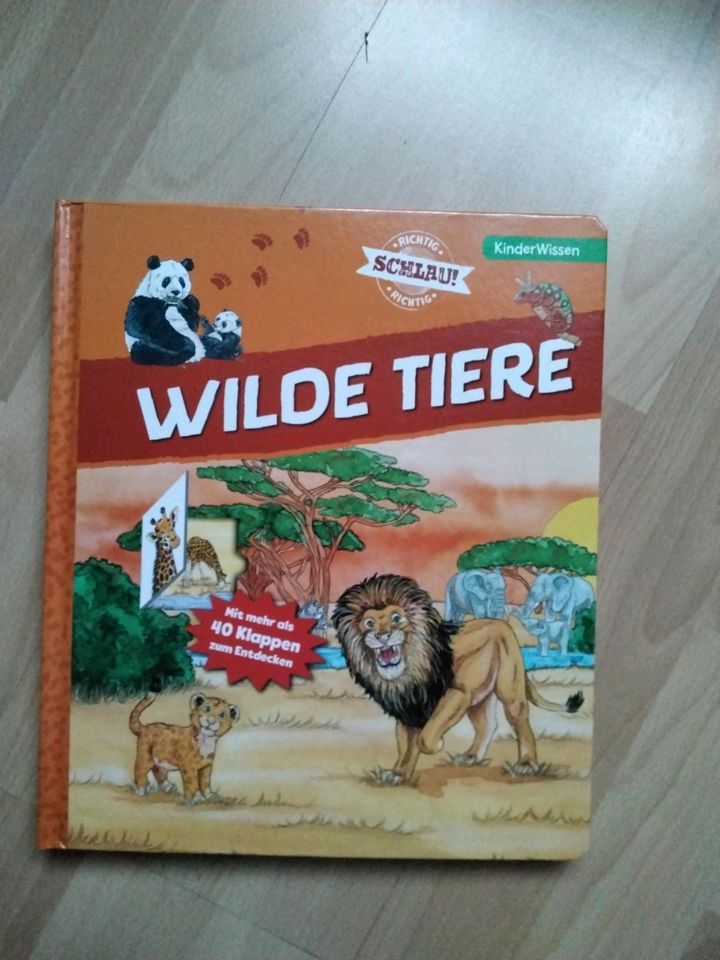 Wilde Tiere Kinderwissen mit Klappen Buch in Bad Emstal