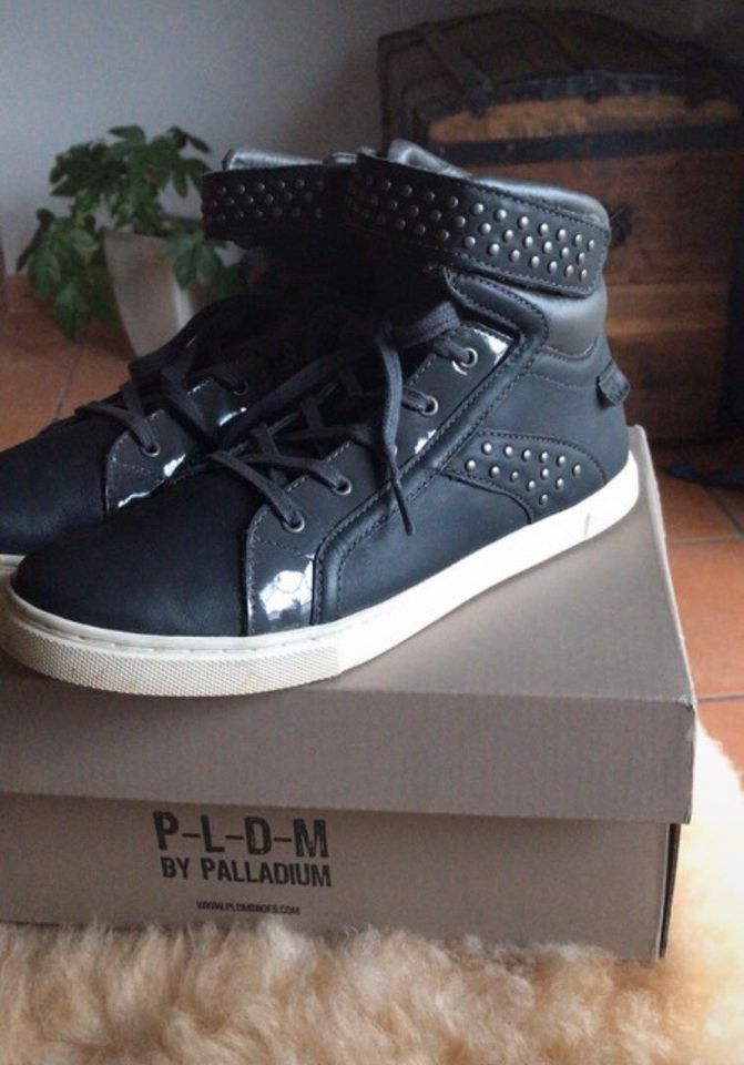 Palladium Sneakers in Limburg