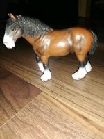 Schleich Shirehorse Thüringen - Arnstadt Vorschau