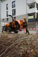 Schredder Holzhäcksler Häcksler Vermietung Mieten Leihen Verleih Baden-Württemberg - Zell Vorschau