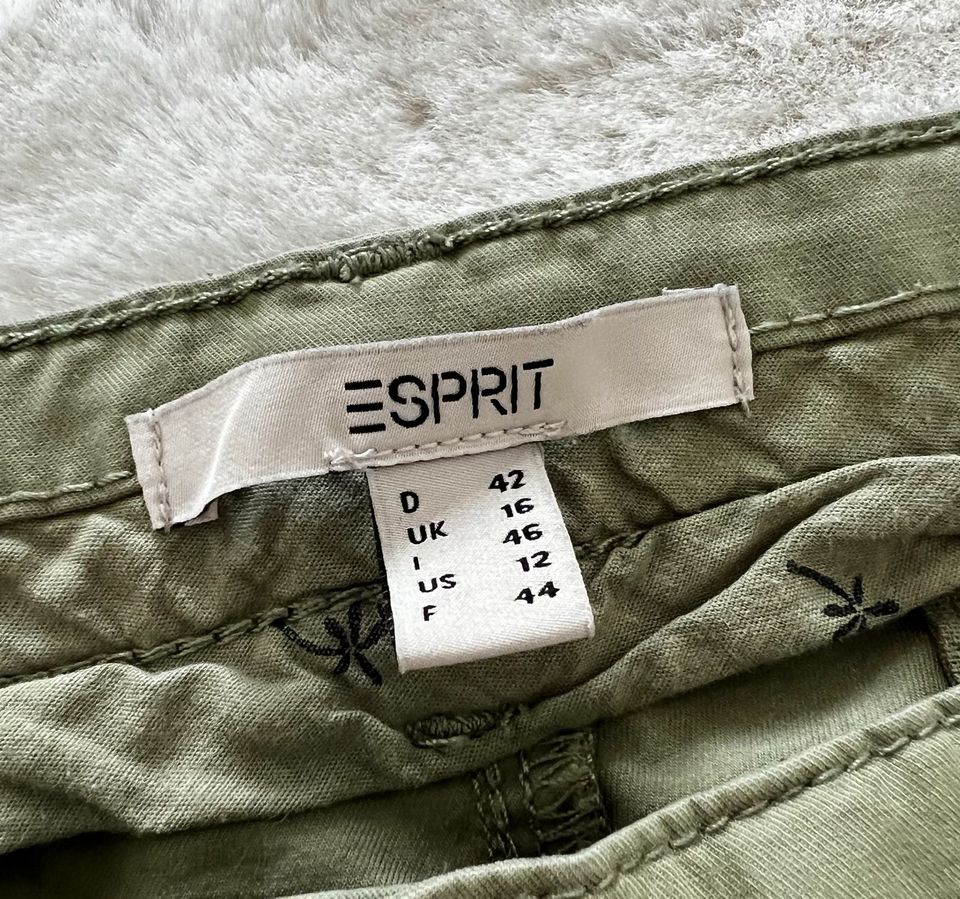 Esprit Shorts in Essen