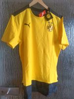 Original BVB Casuals Fan T-Shirt, Gr.M Hessen - Bad Endbach Vorschau