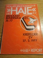 Kec Kölner Haie Kölner ec stadionheft report 1976/77 rar Köln - Nippes Vorschau