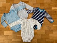 4 Langarmbodies 74 80 C&A Babyclub Papagino Pusblu Dresden - Johannstadt Vorschau