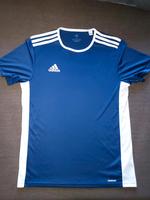 Sport T-Shirt Hansestadt Demmin - Altentreptow Vorschau