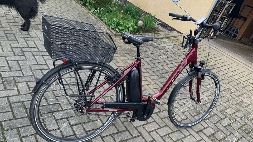 E-Bike , Damenfahrrad, Cityrad in Süderholz