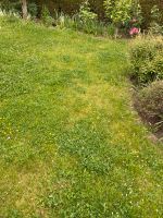 suche Hilfe zum Rasen mähen und leichte Gartenarbeiten Niedersachsen - Schöningen Vorschau