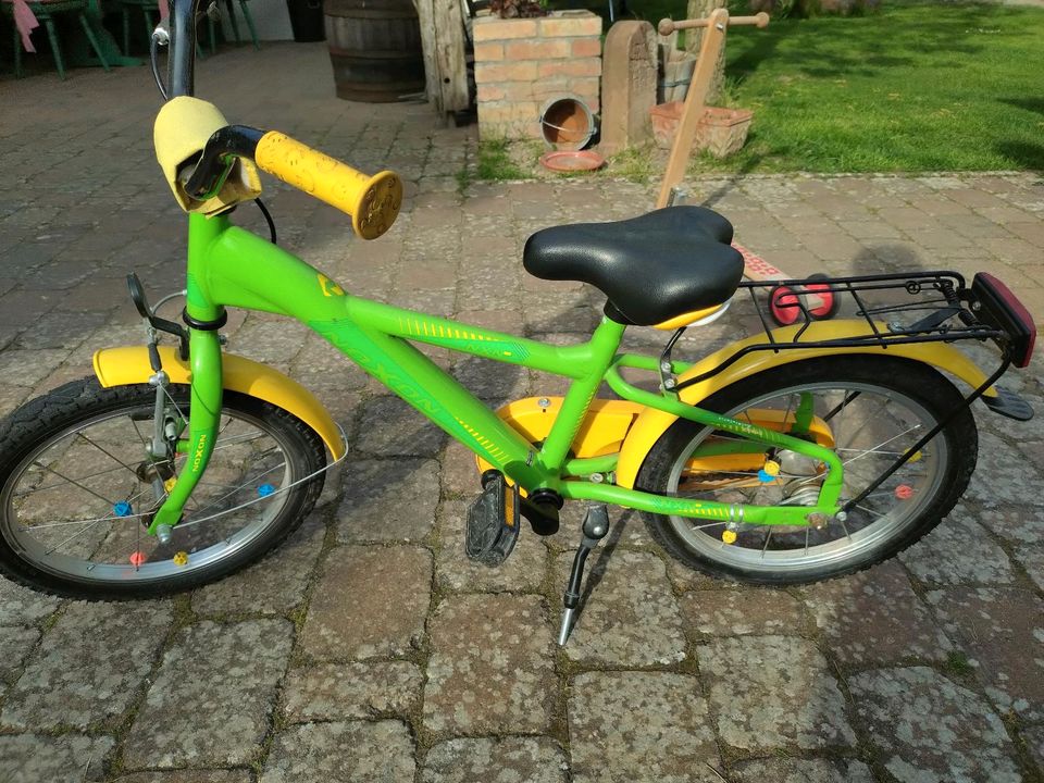 Noxon Kinderfahrrad 16 Zoll in Dettenheim