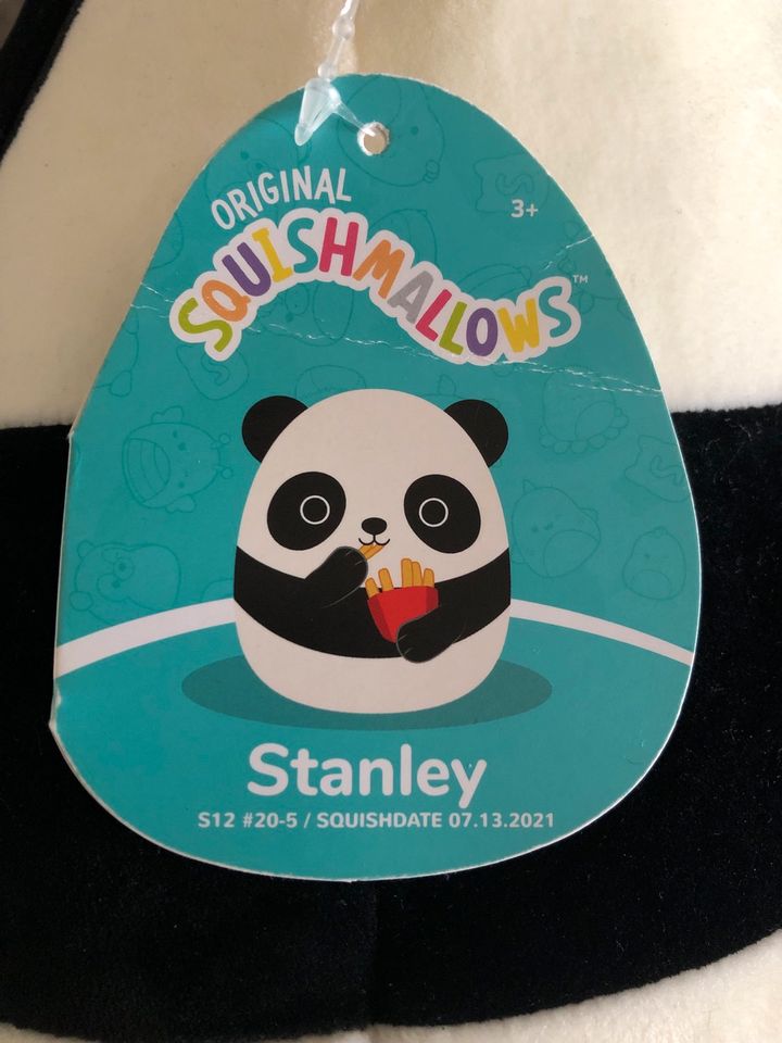Original Squishmallow „Stanley“ in Quakenbrück