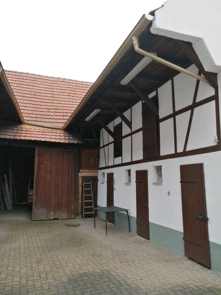 Hofreite, Haus, Baugrundstück 998 qm, Rodgau-Dudenhofen in Rodgau